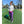 Load image into Gallery viewer, Custom Yoga Leggings (Adult)
